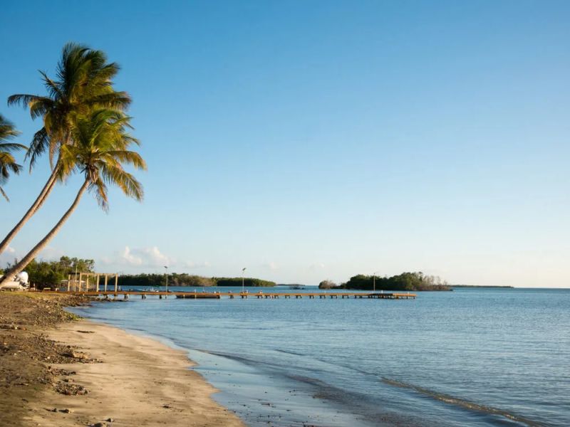 Puerto Rico - Environment - Government