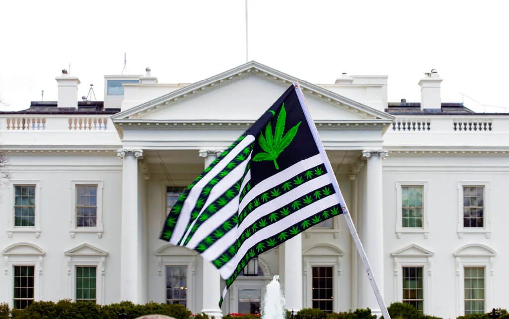 Biden’s Pardon for Federal Marijuana Possession Will Benefit Latinos