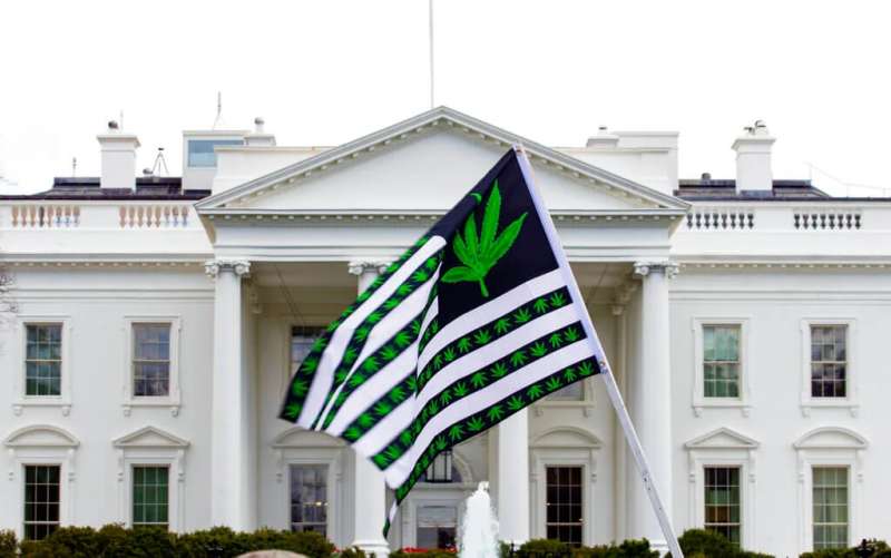 Biden - Latino - Marijuana