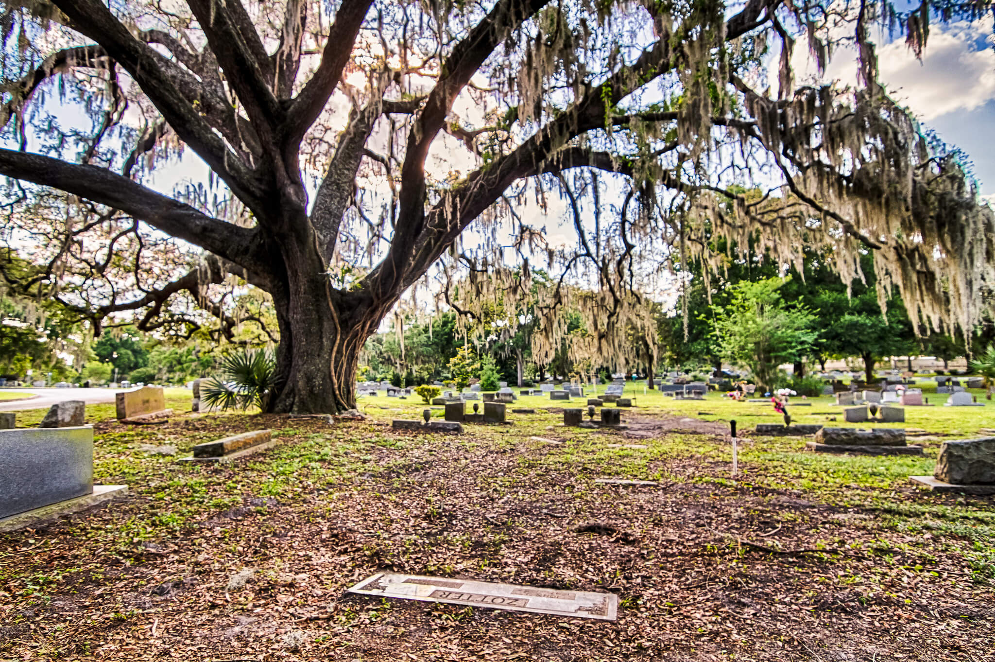 Top 9 Most Haunted Places in Florida