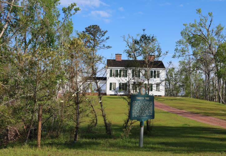 Yes, There’s Fall Foliage in Florida—And Here's Where to Find It