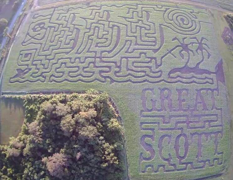 Here Are 8 Great Places, From Pumpkin Picking to Corn Mazes, to Enjoy Fall in Florida