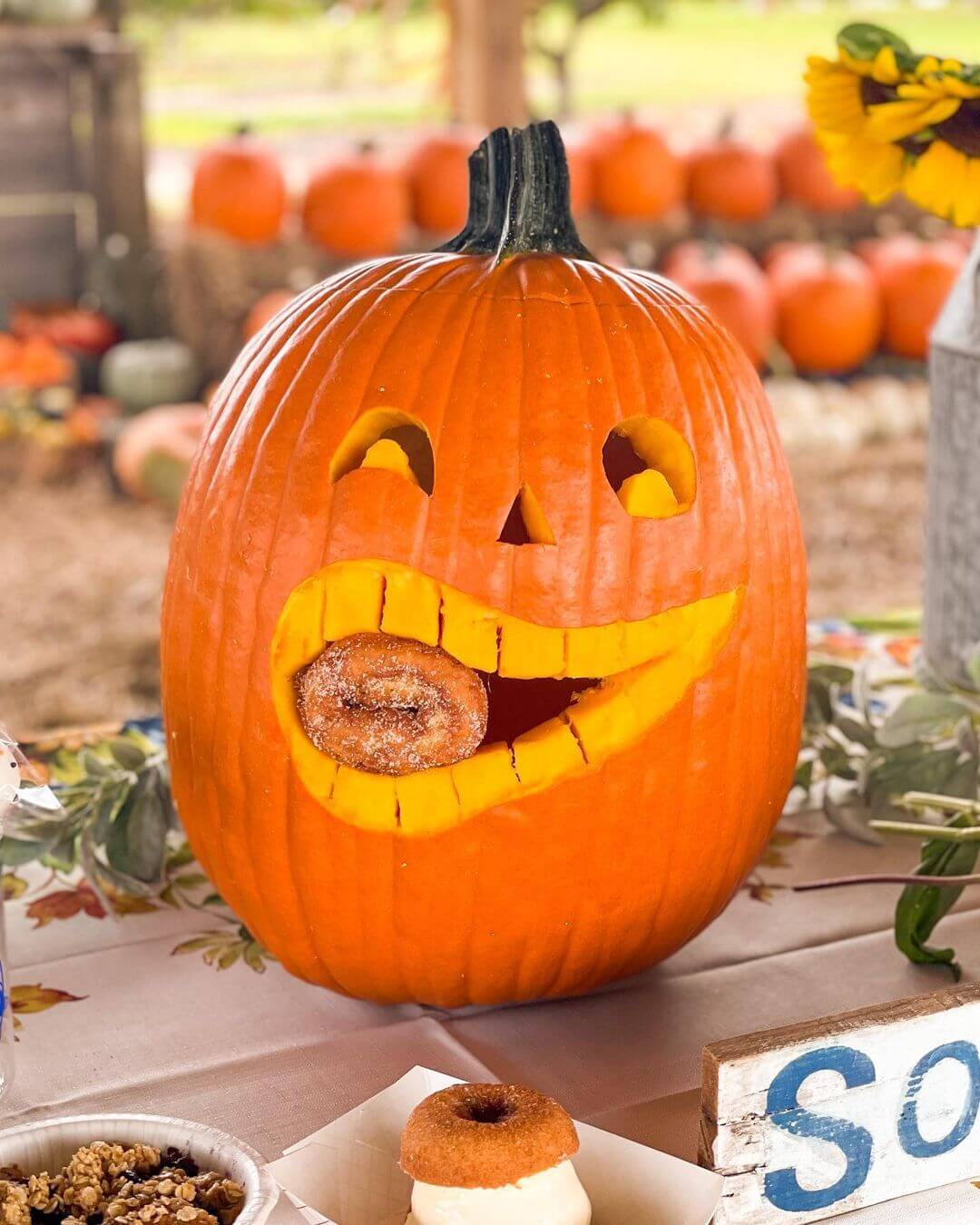 Here Are 8 Great Places, From Pumpkin Picking to Corn Mazes, to Enjoy Fall in Florida