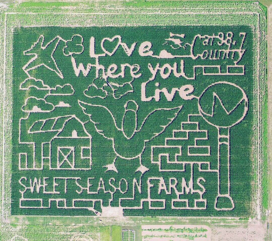 Here Are 8 Great Places, From Pumpkin Picking to Corn Mazes, to Enjoy Fall in Florida