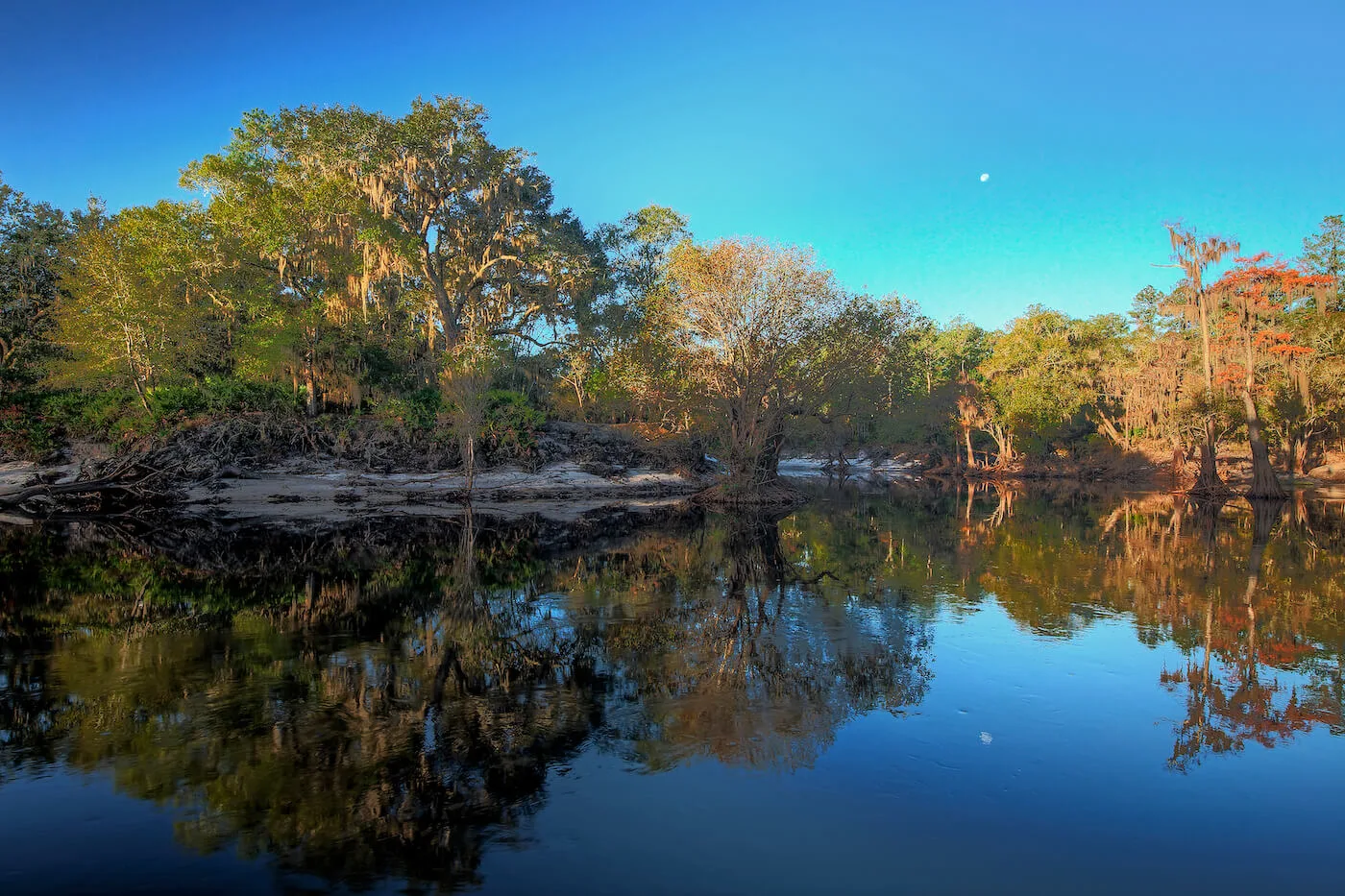 Yes, There’s Fall Foliage in Florida—And Here’s Where to Find It