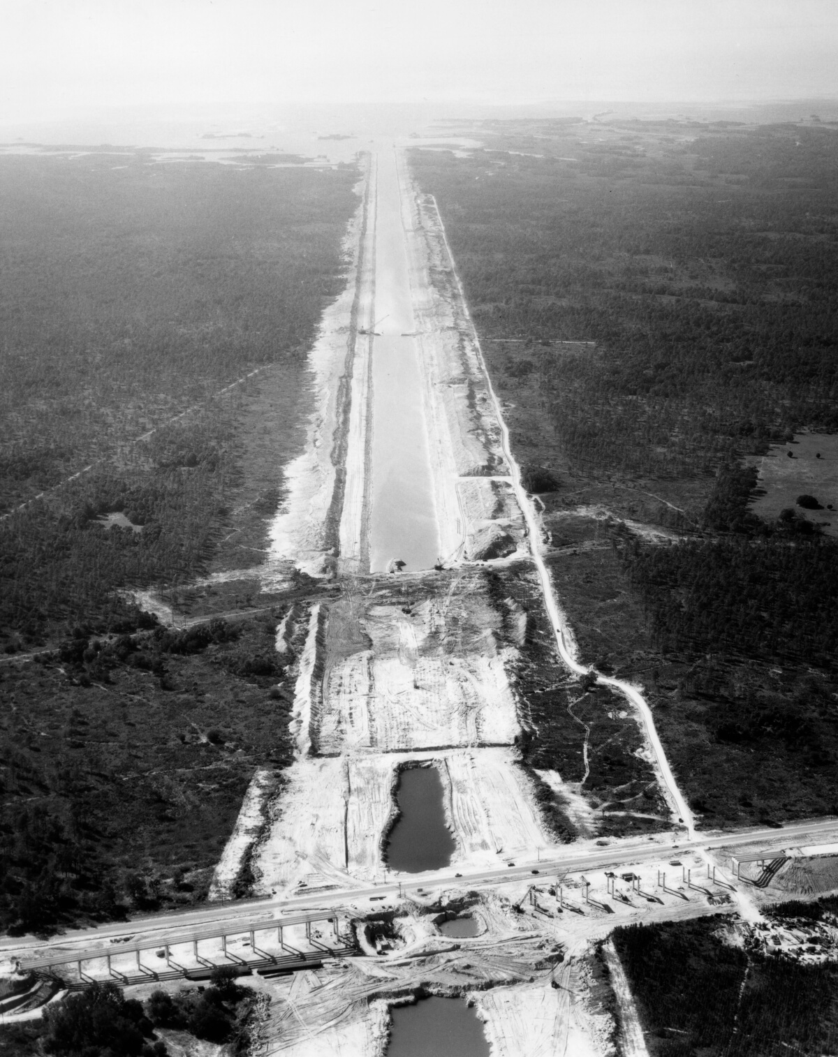 4 Unusual and Unique Things You Didn’t Know about Florida