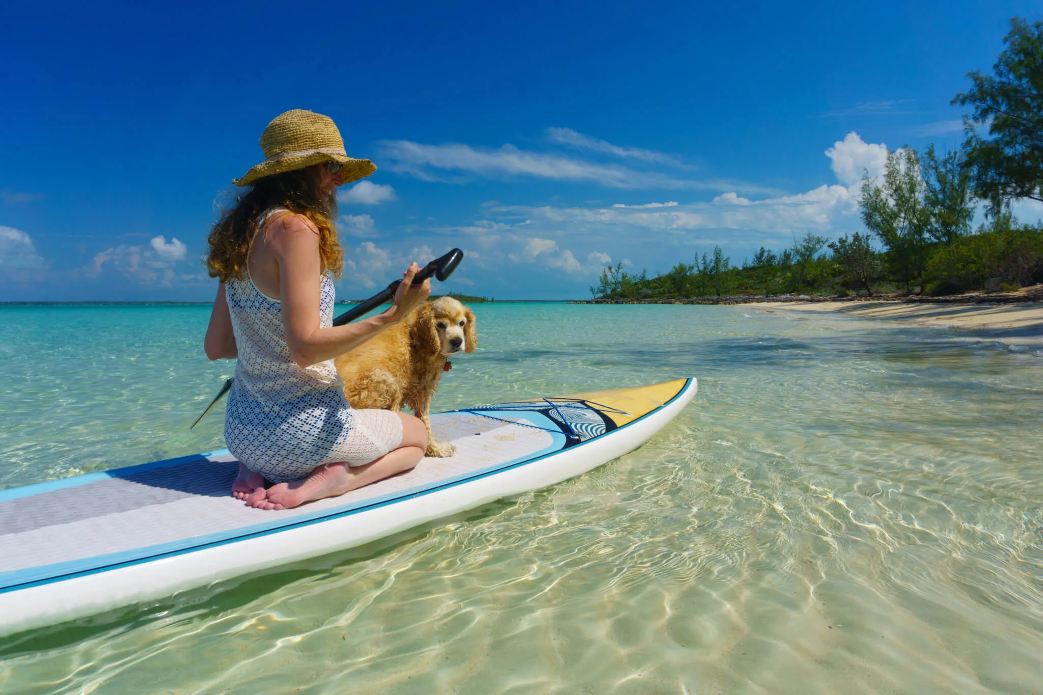 Traveling With Your Pup? Check Out These Dog-Friendly Florida Attractions. Traveling With Your Pup? Check Out These Dog-Friendly Florida Attractions.