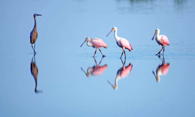 4 Unusual and Unique Things You Didn’t Know about Florida