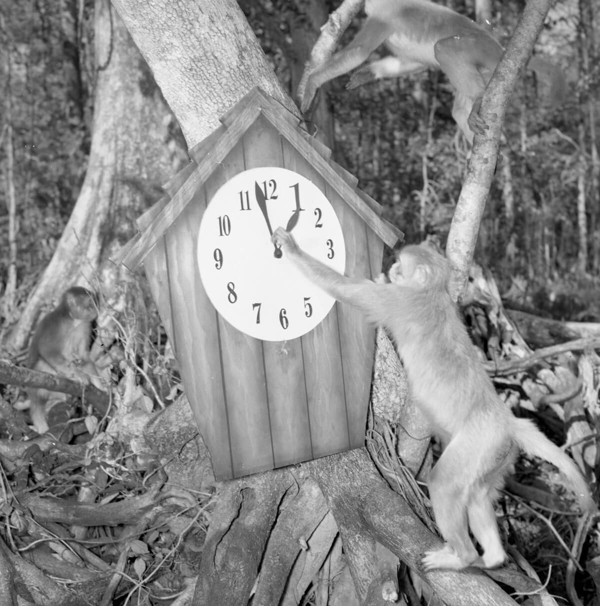 4 Unusual and Unique Things You Didn’t Know about Florida