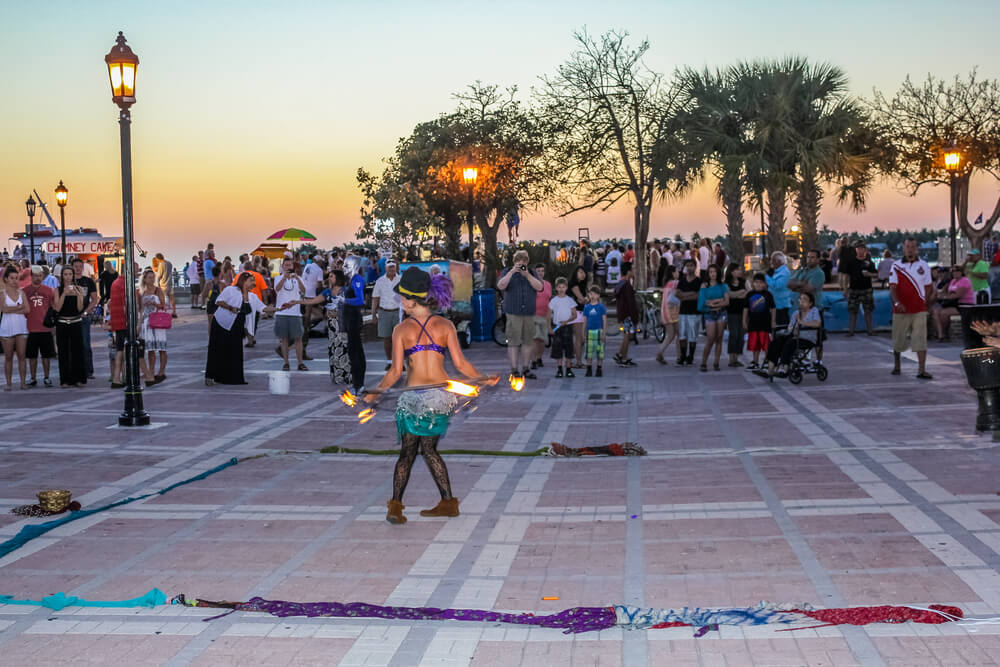 Traveling With Your Pup? Check Out These Dog-Friendly Florida Attractions.