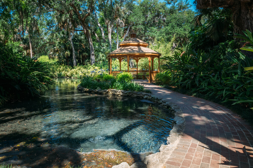 6 Natural Wonders in Florida to Put on Your Bucket List