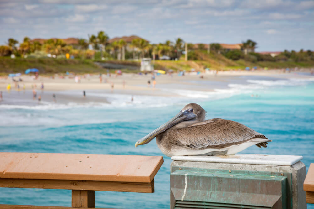 5 Enchanting Small Beach Towns in Florida