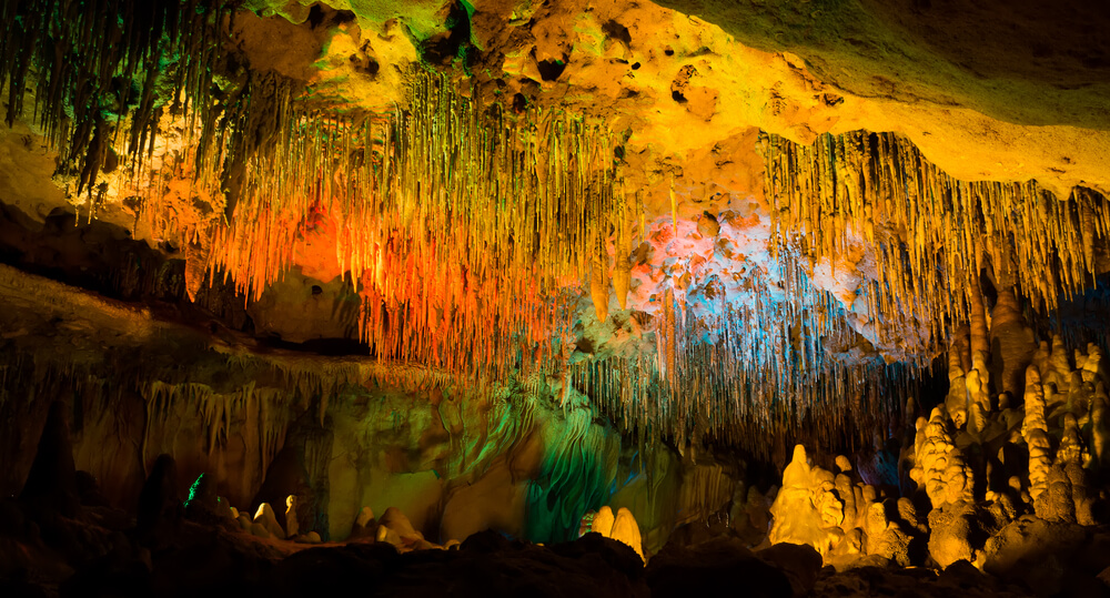 6 Natural Wonders in Florida to Put on Your Bucket List