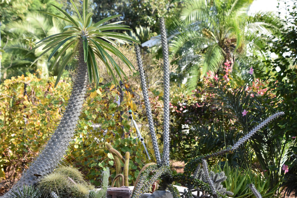 6 Natural Wonders in Florida to Put on Your Bucket List