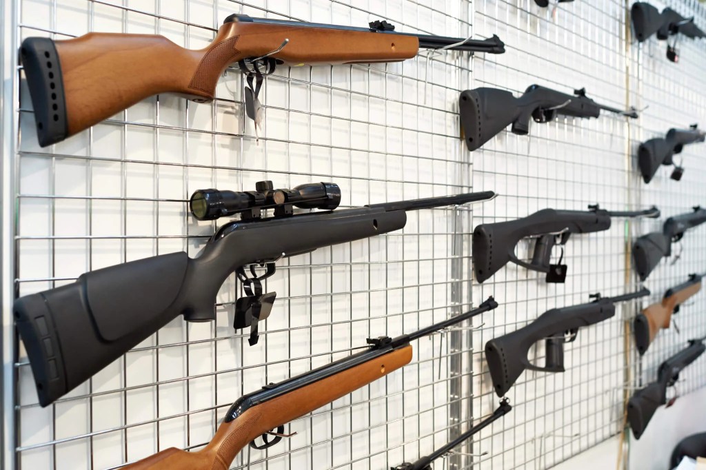 Florida Republicans Reject Millions in Federal Funds for Gun Violence Prevention