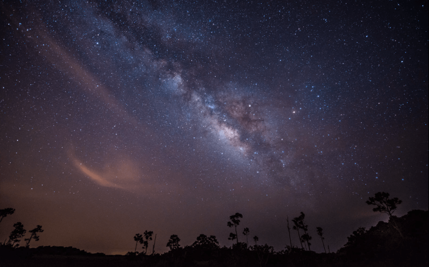 Florida Bucket List: 8 Things to Do in the Sunshine State