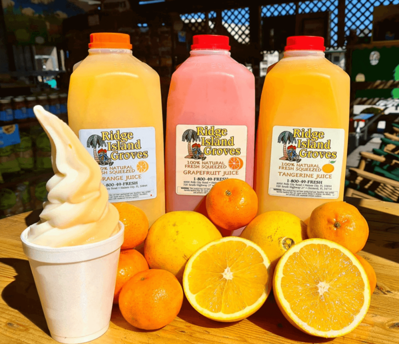 7 Orange Groves You Can Visit in Florida