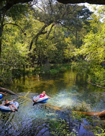 Experience Florida Like A Local