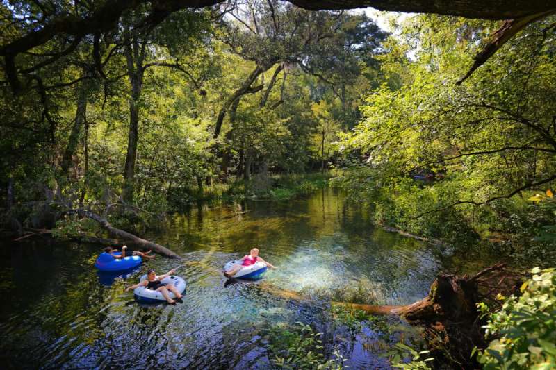 Experience Florida Like A Local