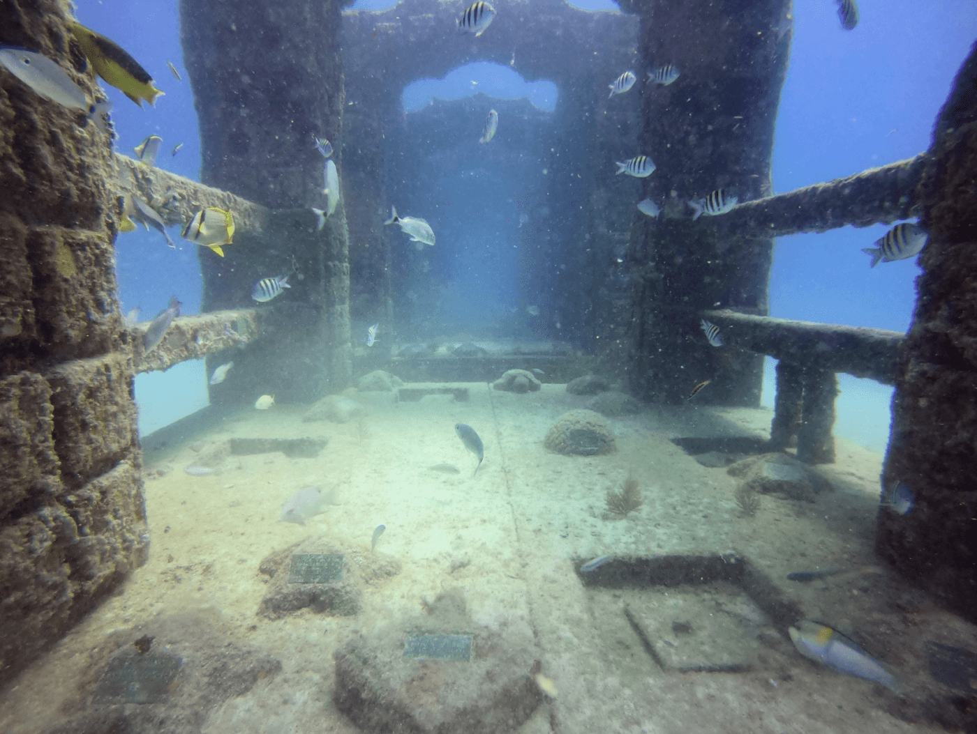 Experience Florida Like A Local