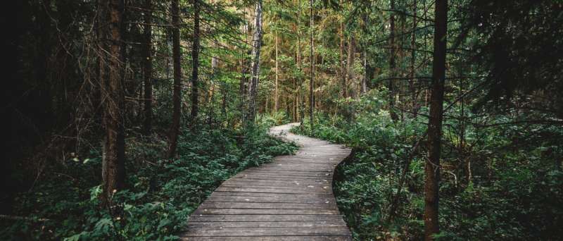 Offbeat Adventures: Travel To The Coolest Hidden Wonders In Every U.S. State