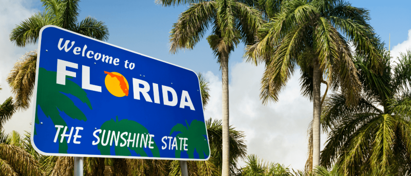 Highest-Rated Things To Do in Florida, According to Tripadvisor