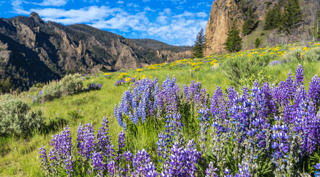 The history behind all 63 National Parks in the US