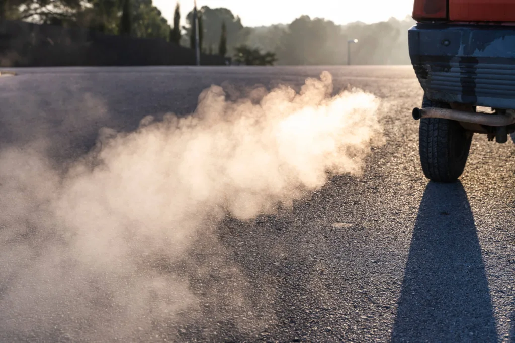 POLITICS - The Floricua Newsroom