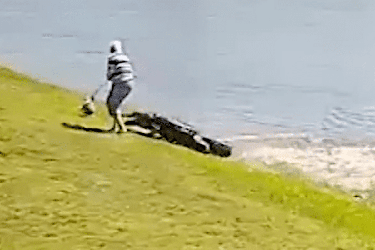 Family of woman killed in alligator attack sues housing company ...