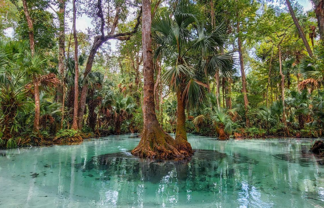 The 7 most mystical and mysterious places in Florida