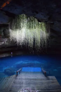 The 7 Most Mystical and Mysterious Places in Florida