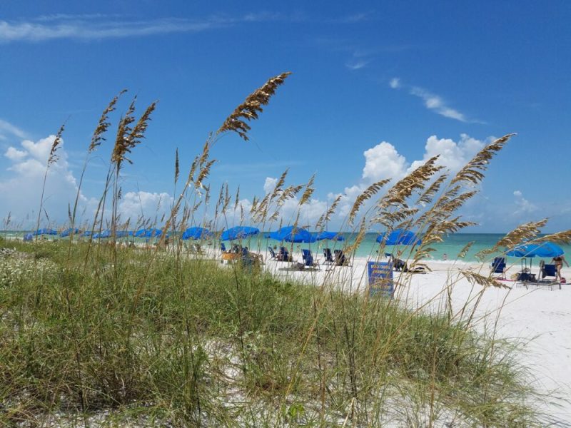 Caladesi Island State Park