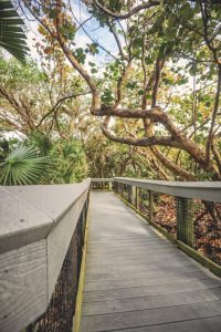 BBQ breakdown: 8 Florida beaches that allow grilling