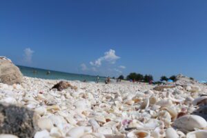 BBQ breakdown: 8 Florida beaches that allow grilling