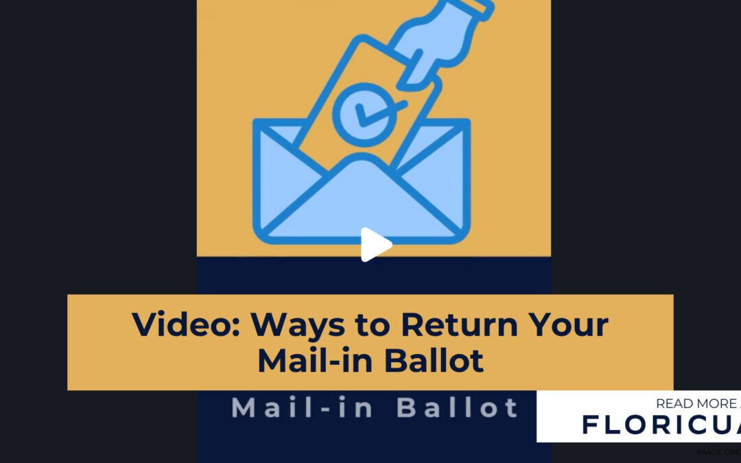 Video: Ways to Return Your Mail-in Ballot