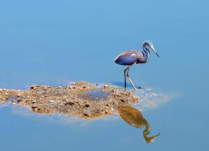 8 fascinating stops along Indian River Lagoon National Scenic Byway