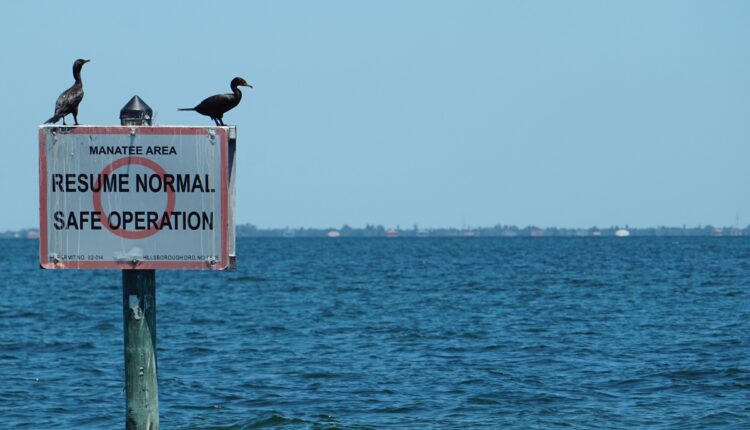 Florida’s 6 highest-paying jobs