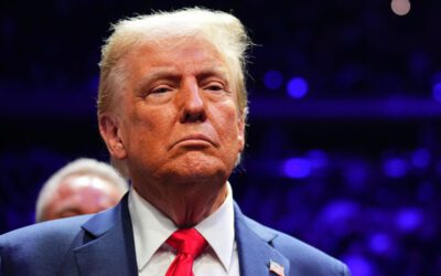 Trump’s Florida 9: Who they are and what they bring to the new administration