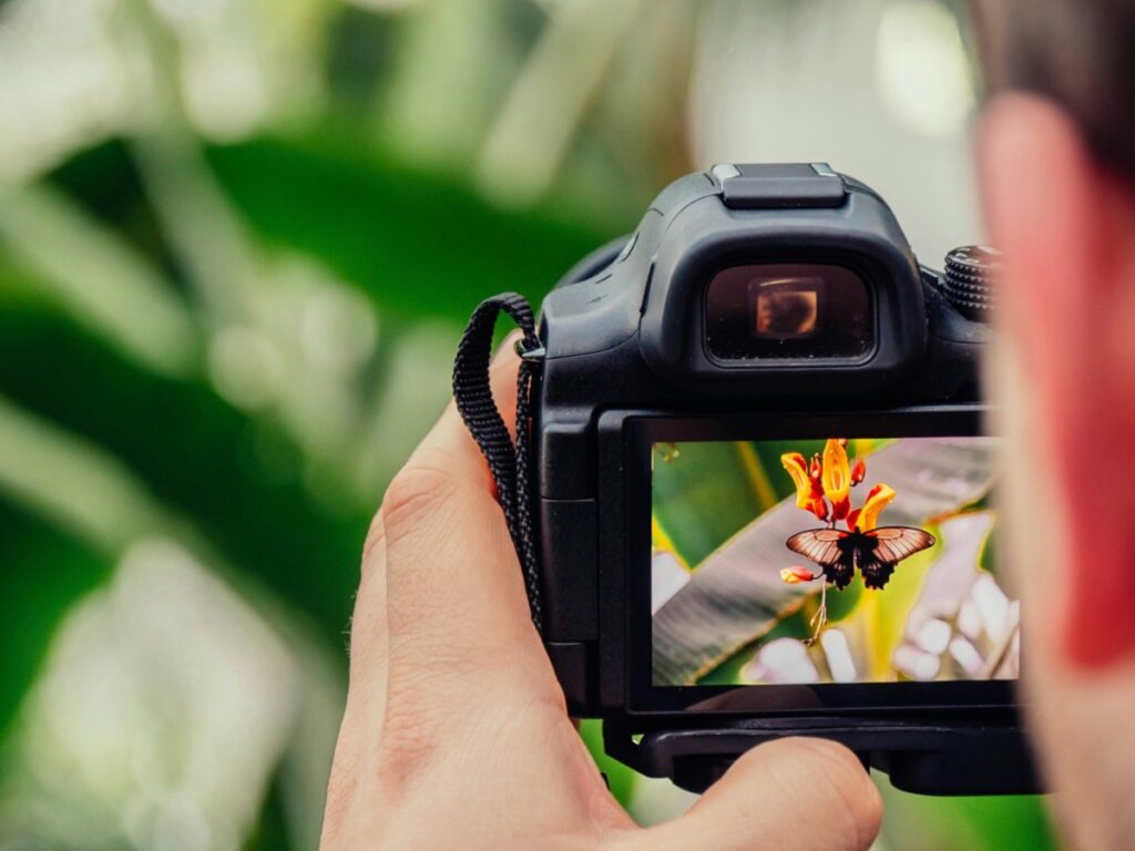 Man holding a camera looking at a flower to take a picture of.