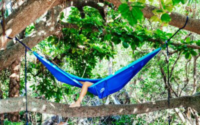 8 spots for cozy winter camping in Florida