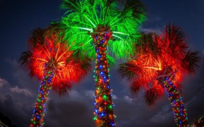 7 magical holiday light displays in Central Florida