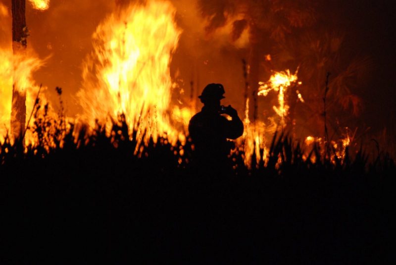 Firefighter in the middle of a wildfire.